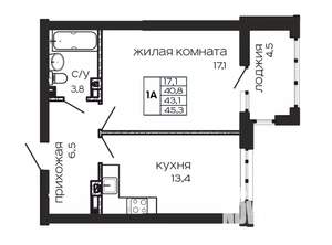 1-к квартира, сданный дом, 45м2, 12/17 этаж