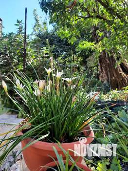 2-к квартира, вторичка, 48м2, 1/2 этаж