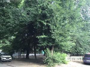 3-к квартира, вторичка, 75м2, 2/4 этаж