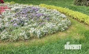 2-к квартира, вторичка, 36м2, 9/9 этаж