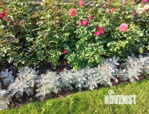 1-к квартира, вторичка, 32м2, 2/6 этаж