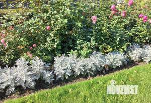 3-к квартира, вторичка, 80м2, 16/18 этаж