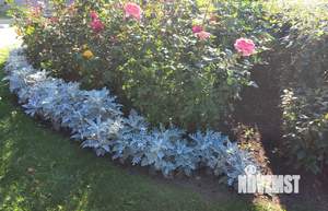 1-к квартира, вторичка, 40м2, 3/10 этаж