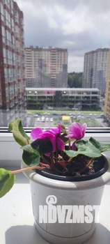 1-к квартира, вторичка, 37м2, 10/15 этаж