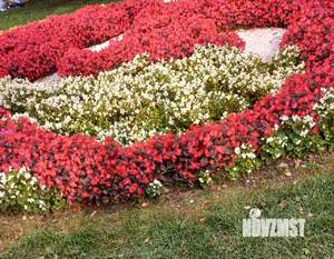 3-к квартира, вторичка, 52м2, 4/5 этаж