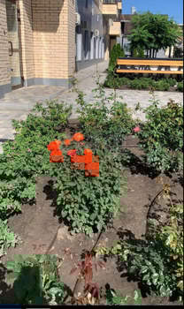 1-к квартира, вторичка, 55м2, 6/12 этаж