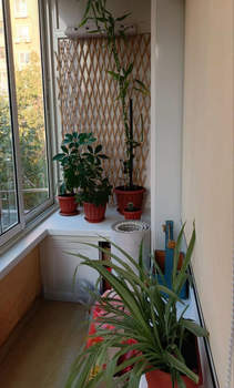 2-к квартира, вторичка, 46м2, 4/5 этаж