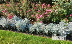 3-к квартира, вторичка, 55м2, 3/5 этаж