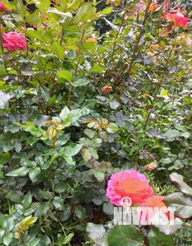 1-к квартира, вторичка, 44м2, 10/18 этаж