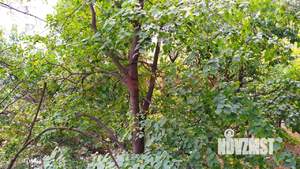 2-к квартира, вторичка, 51м2, 4/9 этаж