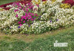 1-к квартира, вторичка, 23м2, 3/9 этаж