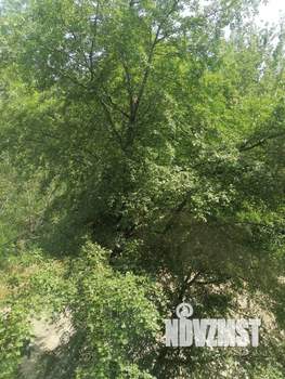 3-к квартира, вторичка, 66м2, 2/10 этаж