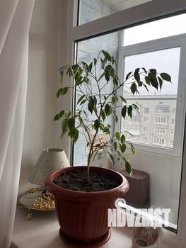 3-к квартира, вторичка, 69м2, 10/10 этаж