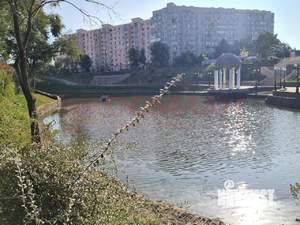 2-к квартира, вторичка, 55м2, 8/9 этаж