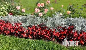 1-к квартира, вторичка, 36м2, 1/5 этаж