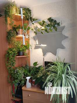 1-к квартира, вторичка, 37м2, 8/17 этаж